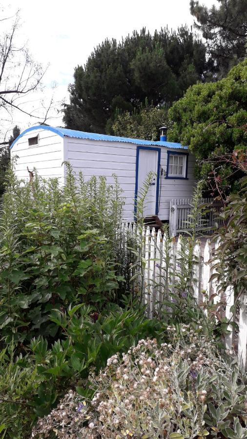Western House B&B Kurow 외부 사진